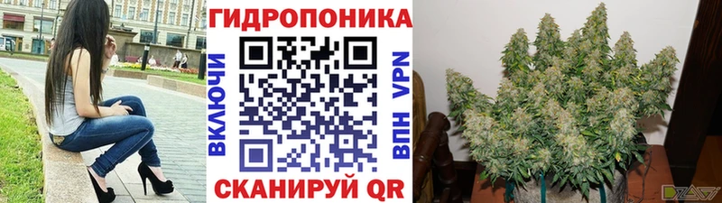 Марихуана Bruce Banner  Вышний Волочёк 